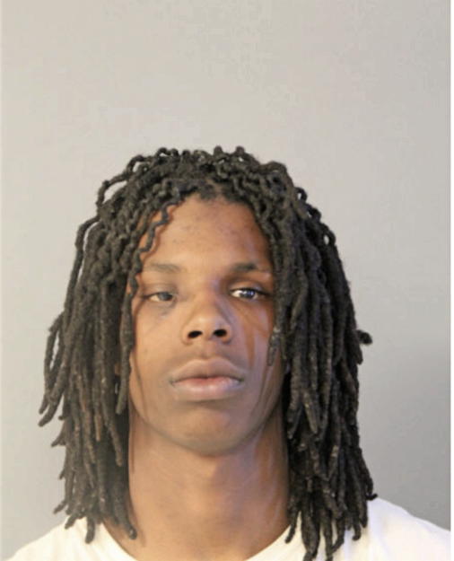 NATHANIEL E PORTER, Cook County, Illinois