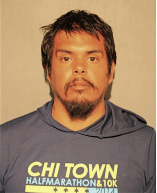 RAMON L ROMERO, Cook County, Illinois