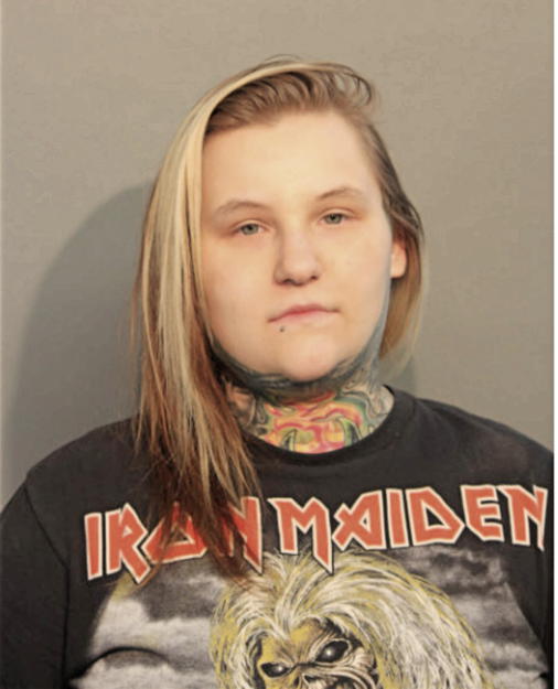JULIA B SEIDMAN, Cook County, Illinois