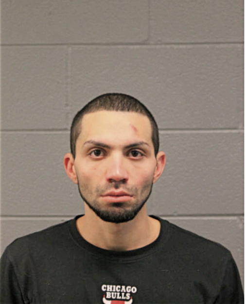 JOSE G TOLEDO, Cook County, Illinois