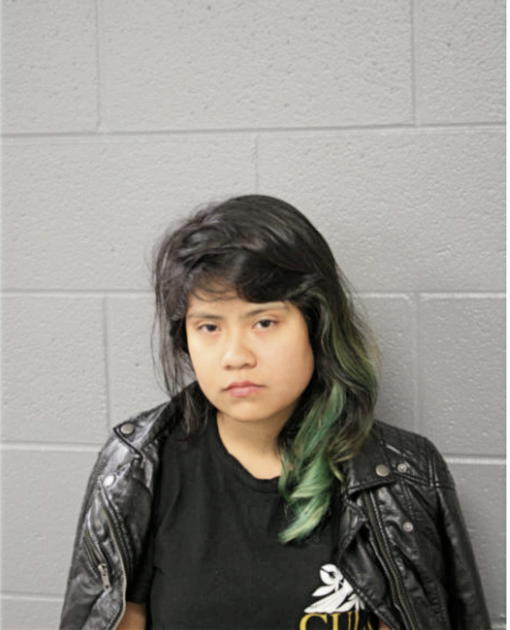 KARINA VILLALOBOS, Cook County, Illinois