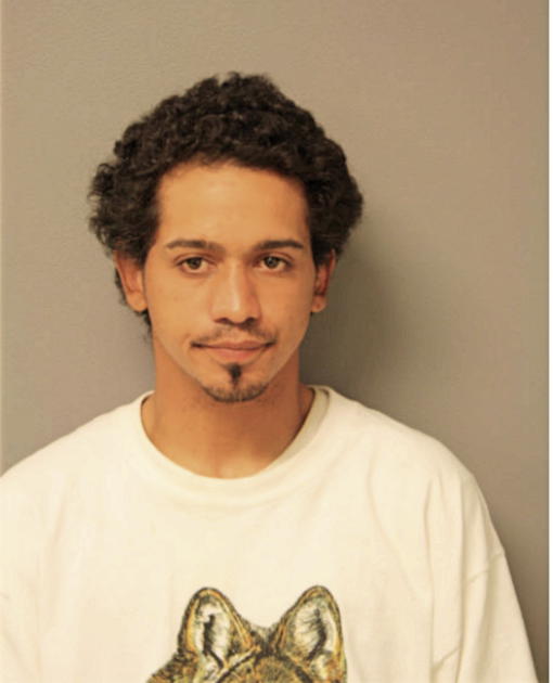 ANGEL R VILLEGAS, Cook County, Illinois