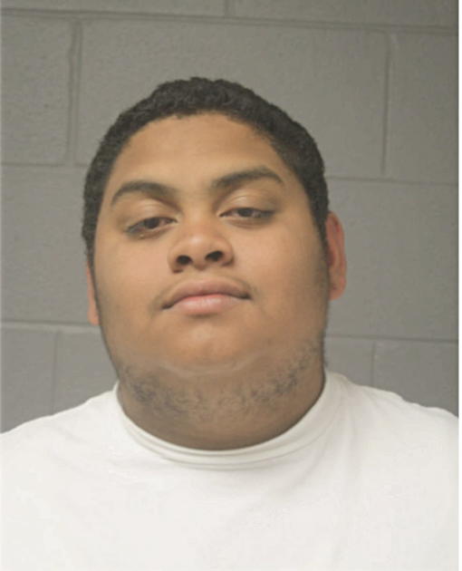 LUIS ALEMAN, Cook County, Illinois