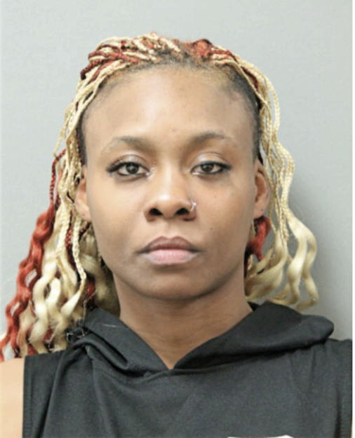 SHANNA M AMES, Cook County, Illinois