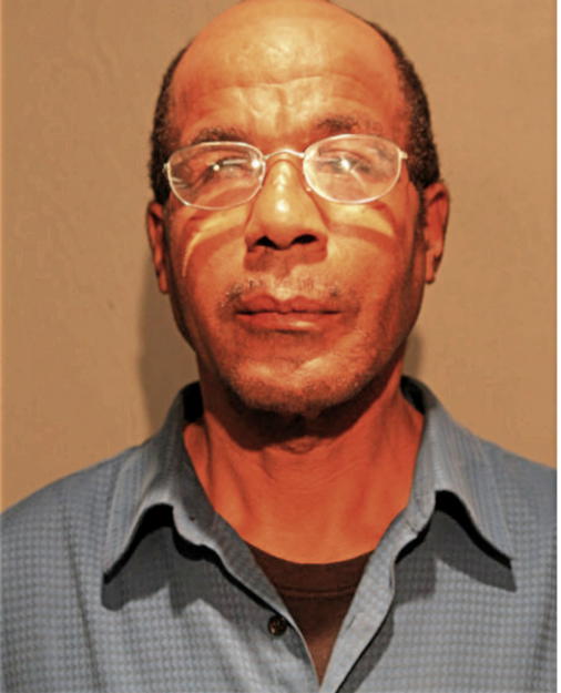 RONALD P COLEMAN, Cook County, Illinois