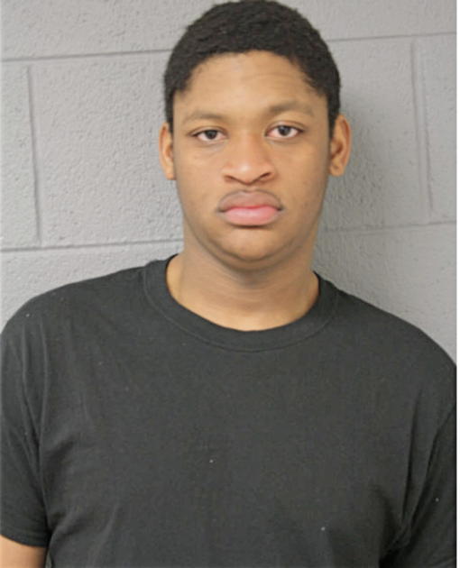 MICHAEL M DAVIS, Cook County, Illinois