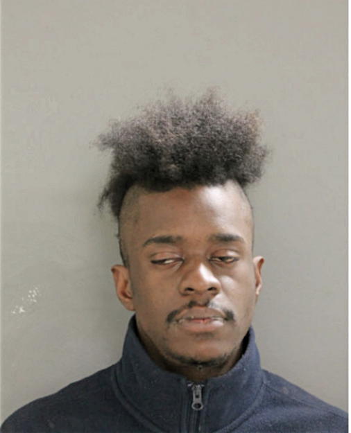 JARVIS C EVANS, Cook County, Illinois