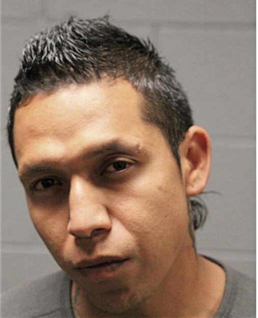 FRANCISCO J GARCIA, Cook County, Illinois