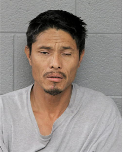 JESUS GARCIA, Cook County, Illinois