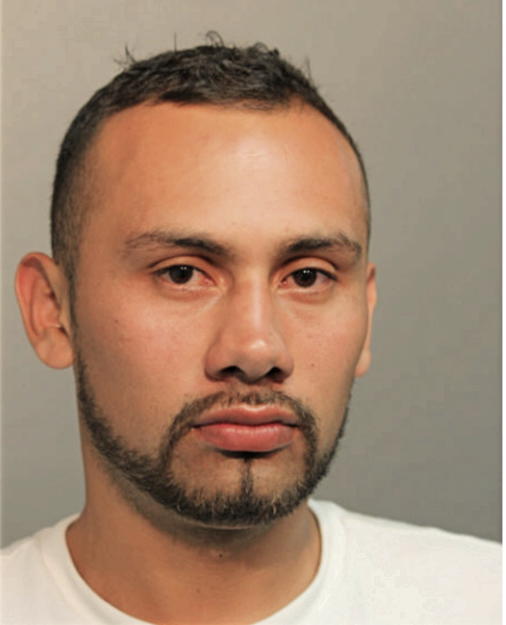 ERANDI GONZALEZ, Cook County, Illinois