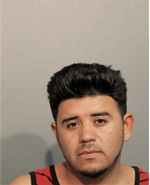 JUAN P GONZALEZ, Cook County, Illinois