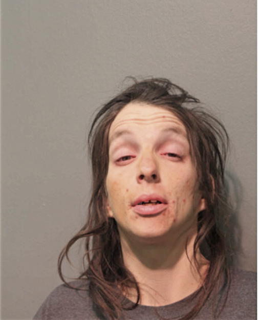 STEFFANY L HOLLAND, Cook County, Illinois