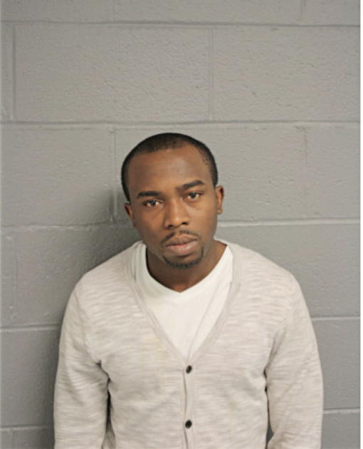 MICHAEL A IKE, Cook County, Illinois