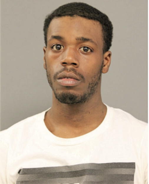 BRANDON P JOHNSON, Cook County, Illinois