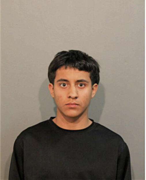 RAYMOND A JOHNSON, Cook County, Illinois