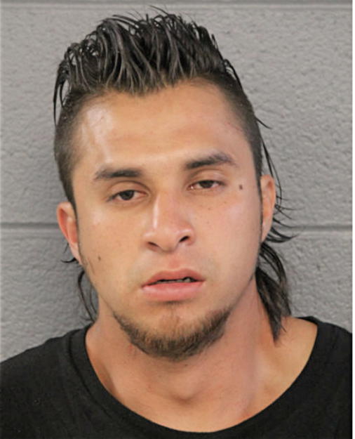 JOSE DE LA ROSA, Cook County, Illinois