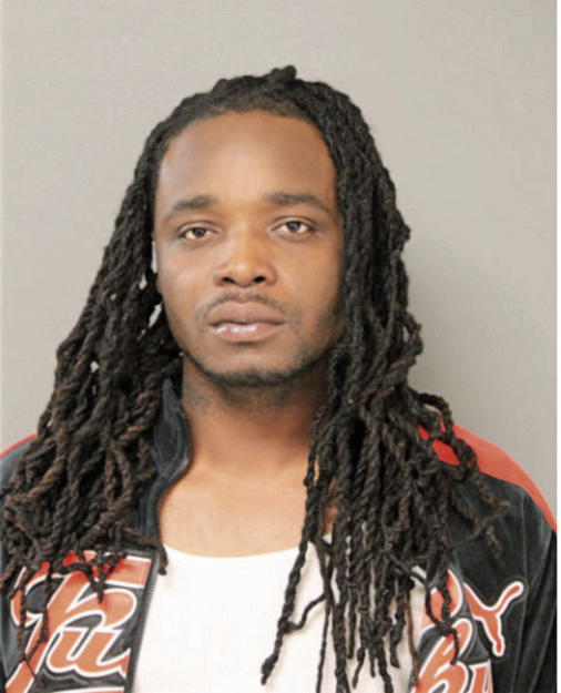 ERIC M MCNEARY, Cook County, Illinois