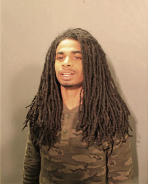 LEN W MOSES, Cook County, Illinois