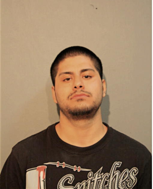 ERNESTO R RAMIREZ, Cook County, Illinois