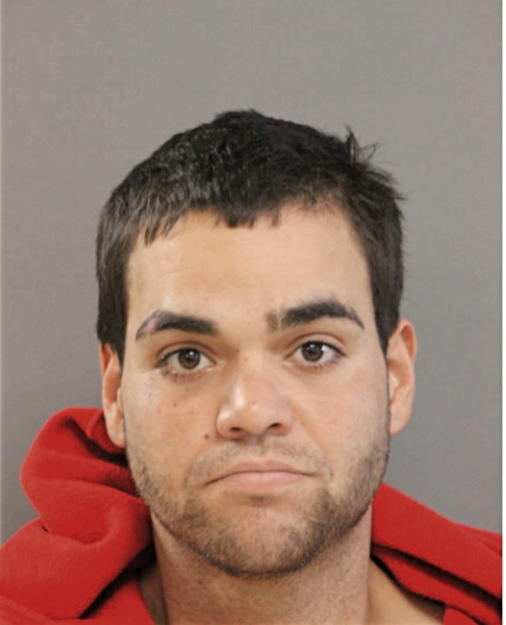 JOSEPH F REBOYRAS, Cook County, Illinois