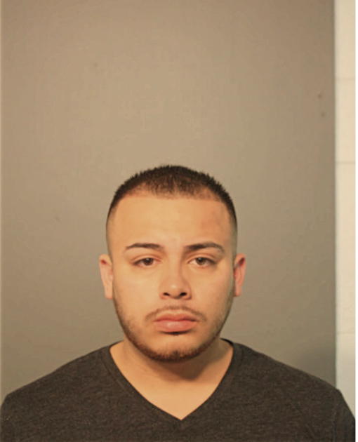 AARON REYES, Cook County, Illinois