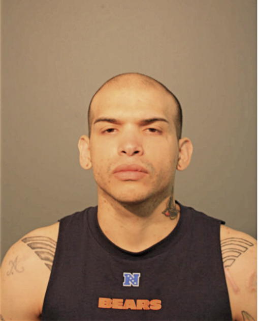LEONEL ROSARIO, Cook County, Illinois