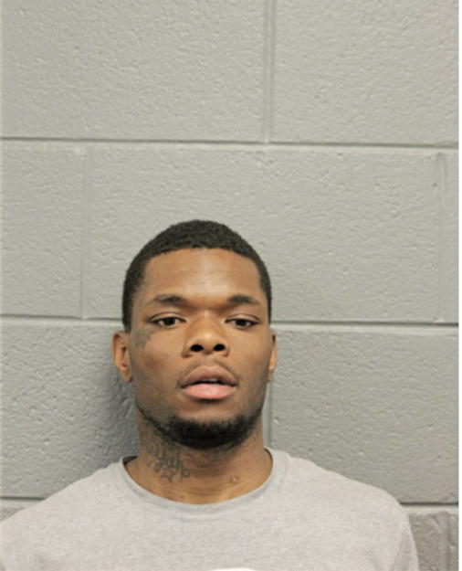 DANIEL J ROWE, Cook County, Illinois