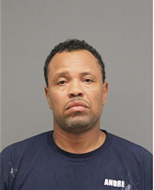 ANDRE M SHAW, Cook County, Illinois