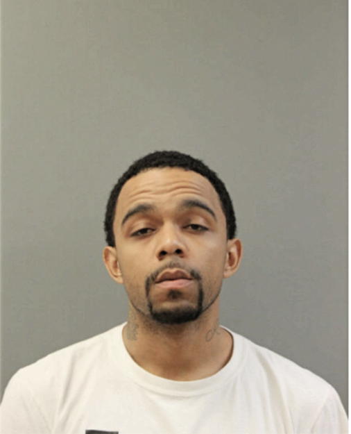 RYAN M STEPHENS, Cook County, Illinois