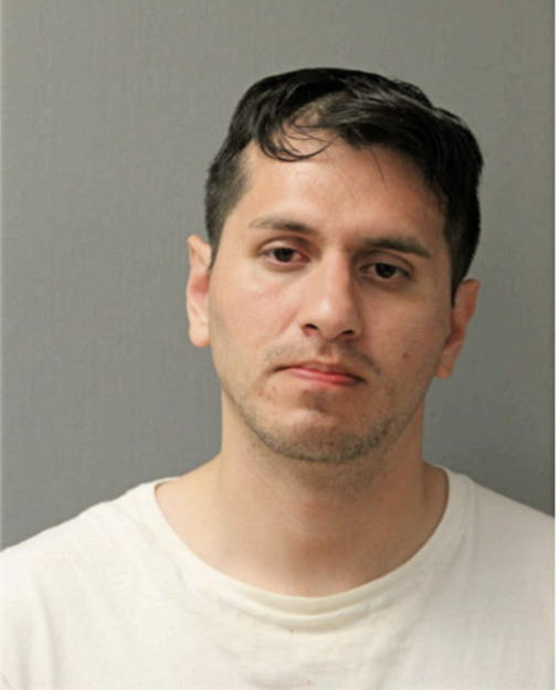 HECTOR T HERRERA, Cook County, Illinois