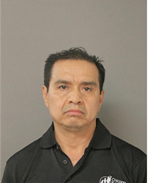 ABEL TOLEDO, Cook County, Illinois