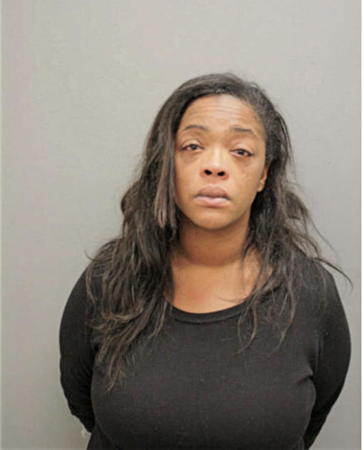 AMBER E WILSON, Cook County, Illinois