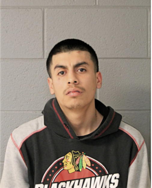 ULISSES C DELGADO, Cook County, Illinois