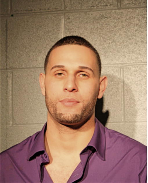LUIS E DIAZ, Cook County, Illinois