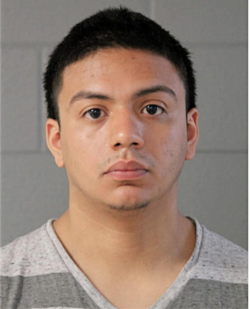 JACOB H FLORES, Cook County, Illinois