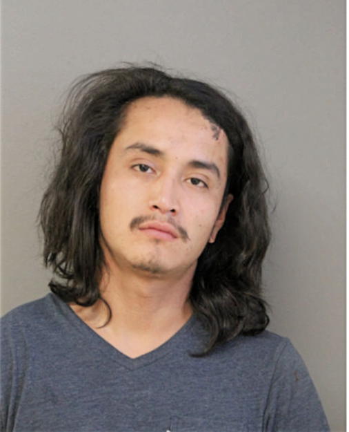 EDGAR A GARCIA, Cook County, Illinois