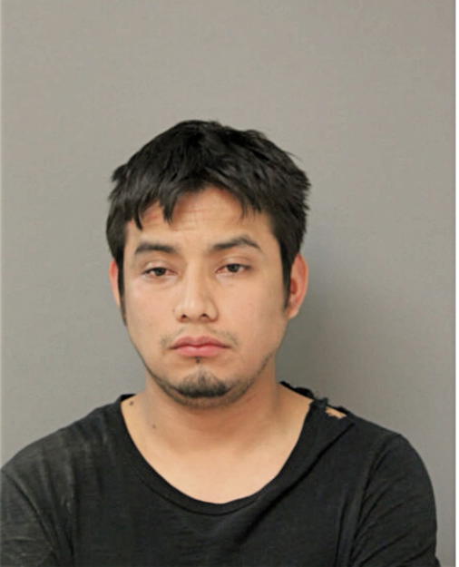DOMINGO GUZMAN, Cook County, Illinois