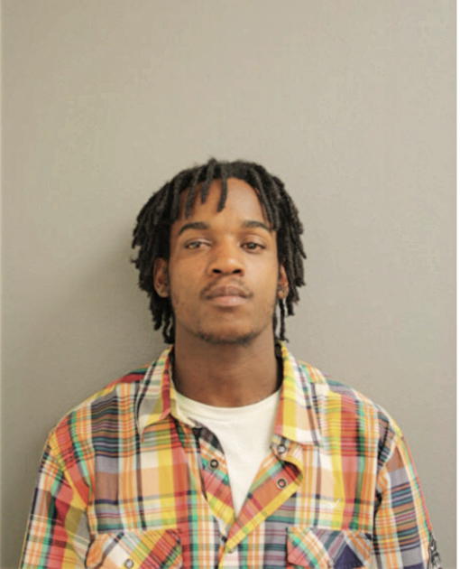 TERRANCE R HOLMES-ELLISON, Cook County, Illinois