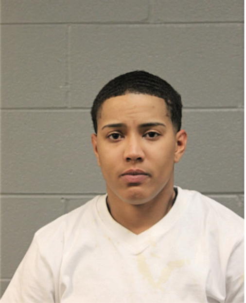 GLENDA R JOHNSON, Cook County, Illinois