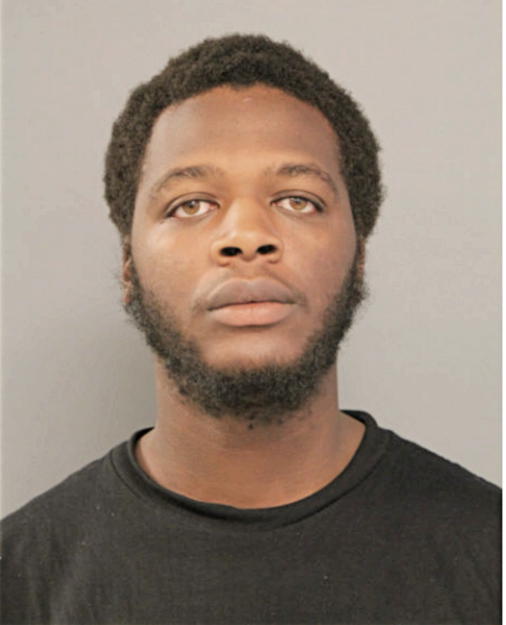 ANDREW LEE, Cook County, Illinois