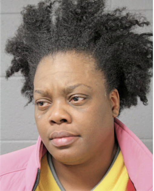 KAROLYN L MORRIS, Cook County, Illinois