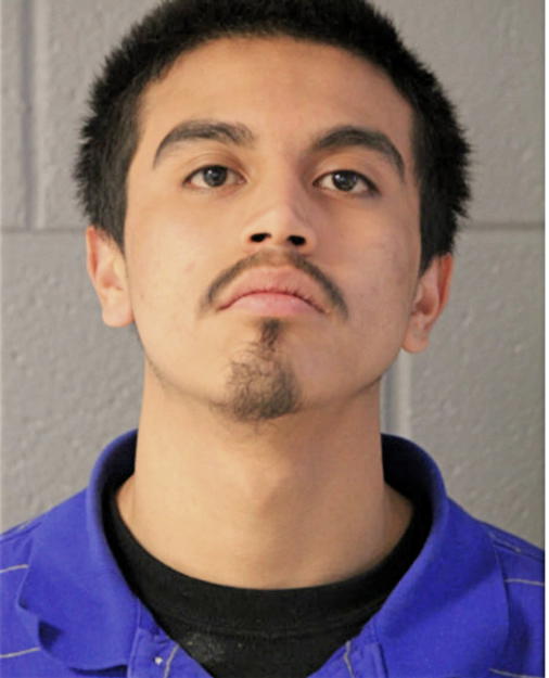 MICHAEL NARES, Cook County, Illinois