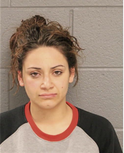 ARIANNA C NORIEGA, Cook County, Illinois