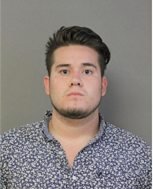 ANDY ONTANEDA, Cook County, Illinois