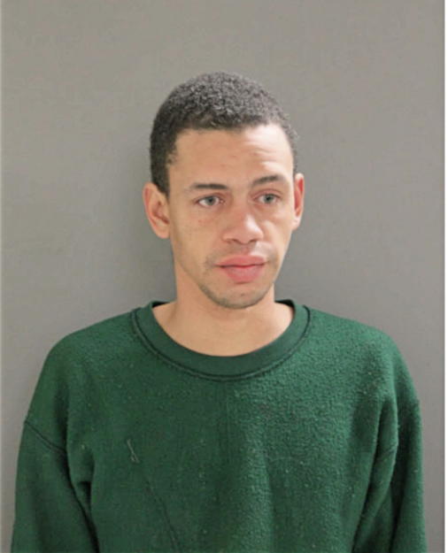 MICHAEL J PHILLIPS, Cook County, Illinois