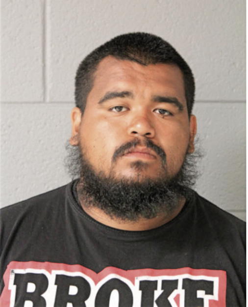 MARTIN B RIOS, Cook County, Illinois