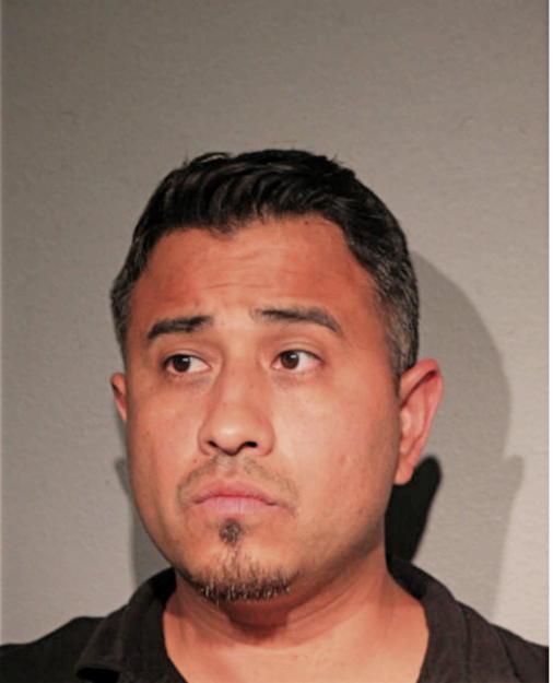 LUIS F SALGADO, Cook County, Illinois