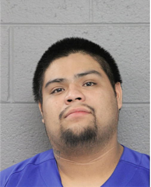 NESTOR V LUGO-VILLALOBOS, Cook County, Illinois