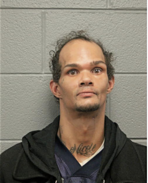 JOHN W WERNER, Cook County, Illinois