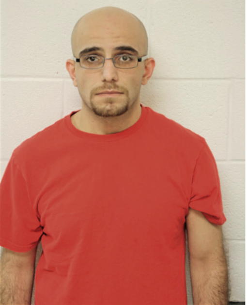 NINOS YAKOUB, Cook County, Illinois